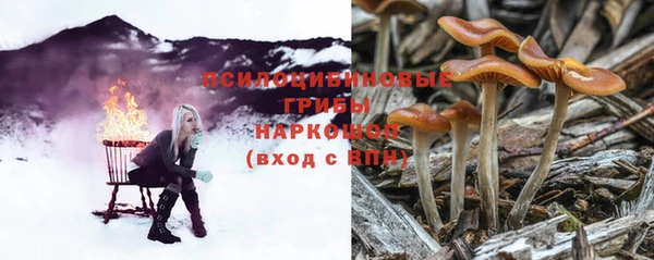 бошки Арсеньев